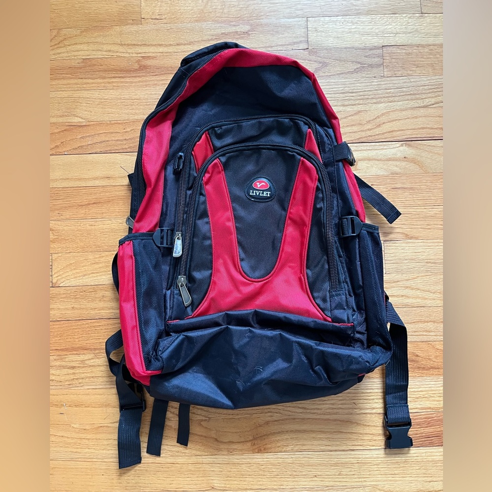 Large Backpack - image 1